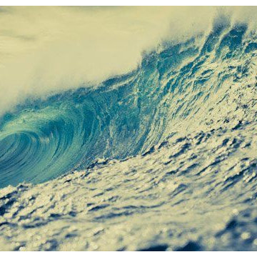 Photographies