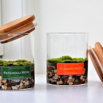 Fragrant Moss in decorative glasses