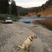 Kim Phillips's photo