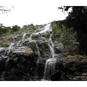 Mohammed Alkindy's photo