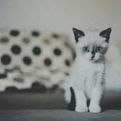 Roberta Casto's photo