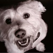 Heather Sullivan's photo