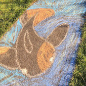 Barbara Steffens's photo