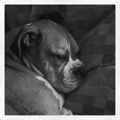 Tina Beer's photo