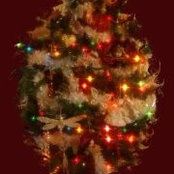 Julie Walker's photo