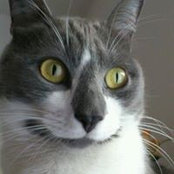 Foto von Théo Mily