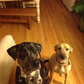 Cinda Leininger's photo