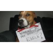 Michelle Zanotti's photo