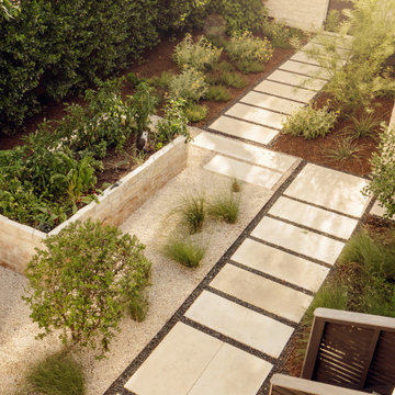 Modern Urban Courtyard