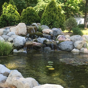 11x16 Ecosytem Wildlife Pond