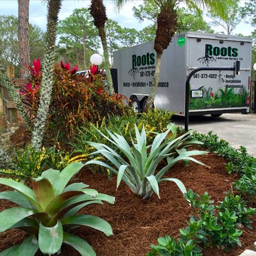 Hardy bromeliads for this newly renovated entryway