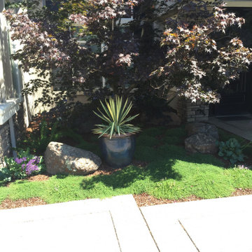 Roseville Circular Driveway & Landscape