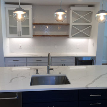 Del Ray Whole House Renovation and Addition