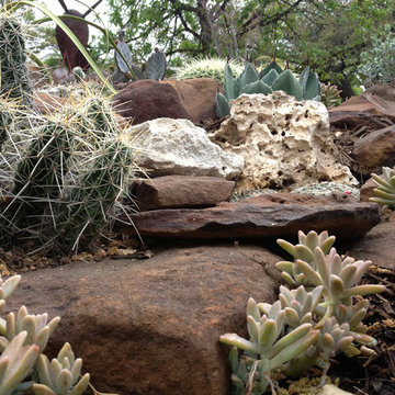 Xeriscape #3