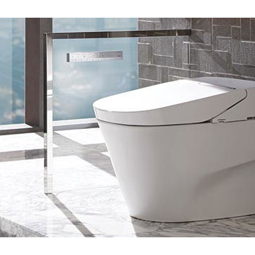 Toto Products