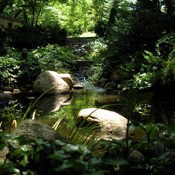 Koi Ponds and Water Gardens