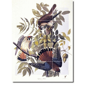 John Audubon Birds Painting Ceramic Tile Mural #40, 12.75"x17"
