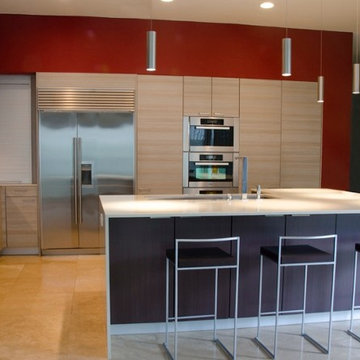 Bellaire, soft contemporary Poggenpohl kitchen renovation