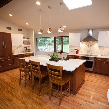 Contemporary Renovation