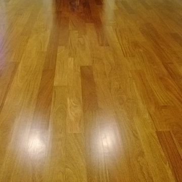 Newly Remodeled