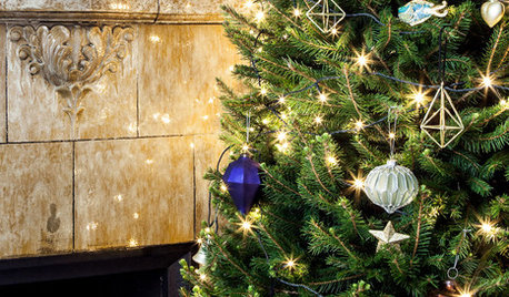 Photothèque : 41 sapins à travers le monde décorés pour Noël