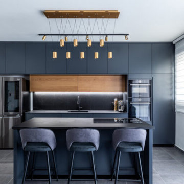 Santa Monica Kitchen Remodel