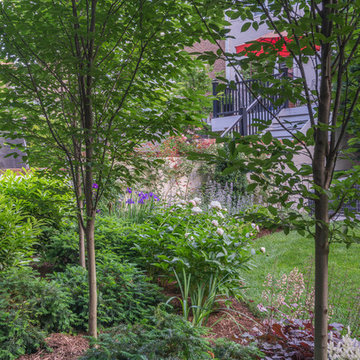 NW DC Townhouse