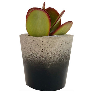 Mini Concrete Planter, Black