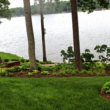 Water's edge