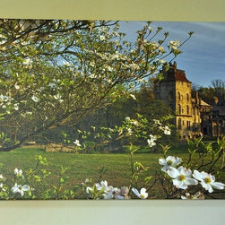 Spring Dogwoods at Fonthill (16x24 1 1/2" gallery wrap) - Artwork