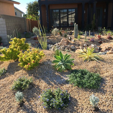 Soft Desert Garden Just After Planting