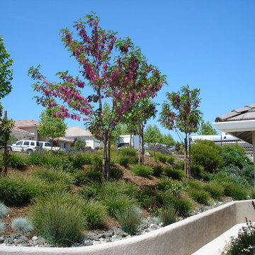Natural Drainage