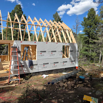 Troys Tiny House Build Cost effective