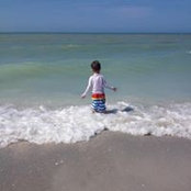 Deborah Bueno Clements's photo