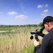 Foto von Rob Laughton