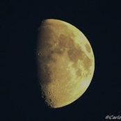Carlos Carlos's photo