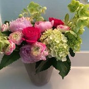 Julie Borrud's photo