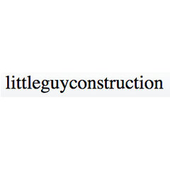 Little Guy Construction