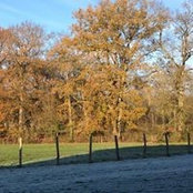 Foto von Thibault de Lisle