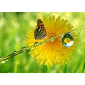 Mares Anca Stefania's photo