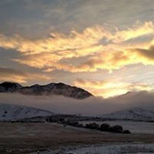 Terri Gailey's photo