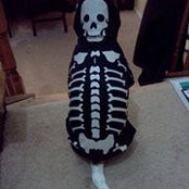 Tim Gillin's photo