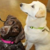 Donna Huppler's photo
