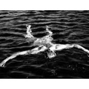 Photo de Cody Laudan