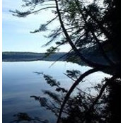ToddandDenise McNeilly's photo