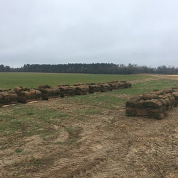 Tall Fescue Harvest - Products