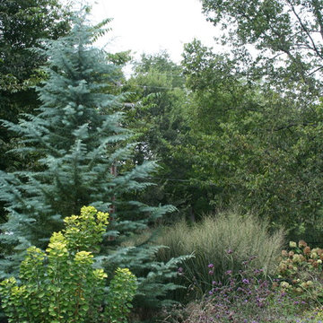 Miscellaneous pictures from our projects