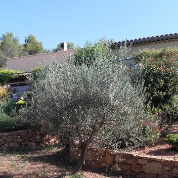 MAISON PHY