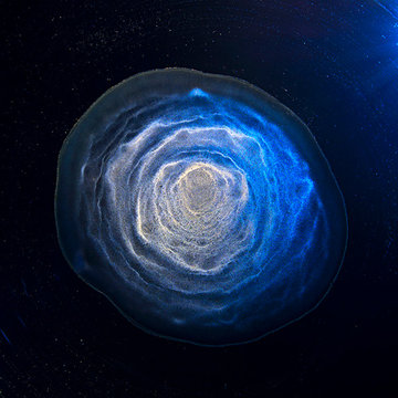 Macallan 333 by Ernie Button