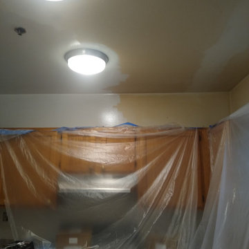 Interior Painting - Work in Progress